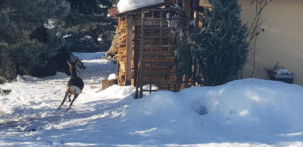 Villa Dom Grabowa Z Sauna I Podgrzewanym Basenem à Gilowice  Extérieur photo